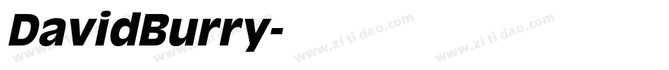 DavidBurry字体转换
