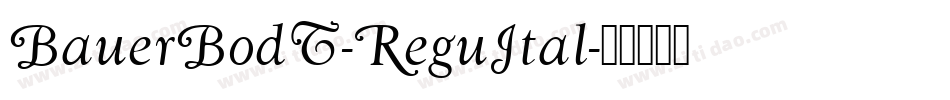 BauerBodT-ReguItal字体转换