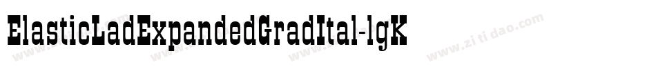 ElasticLadExpandedGradItal-lgK3D字体转换