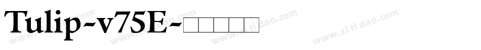Tulip-v75E字体转换
