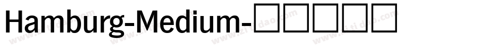Hamburg-Medium字体转换