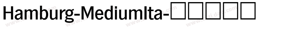 Hamburg-MediumIta字体转换