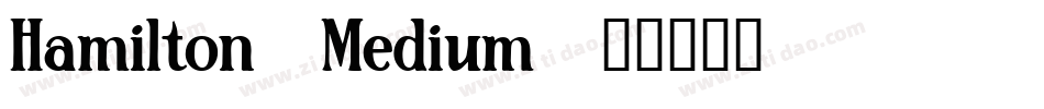 Hamilton-Medium字体转换