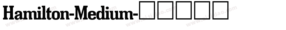Hamilton-Medium字体转换