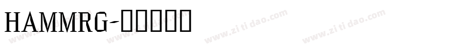 HAMMRG字体转换