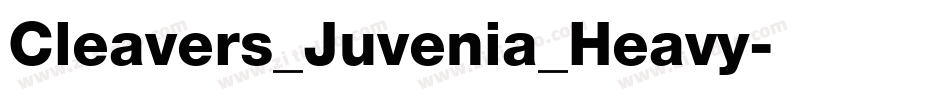 Cleavers_Juvenia_Heavy字体转换