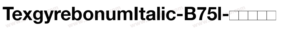 TexgyrebonumItalic-B75l字体转换