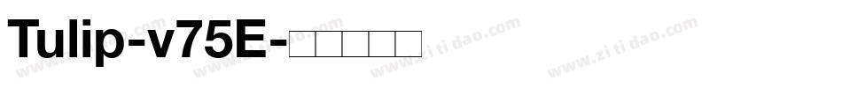 Tulip-v75E字体转换