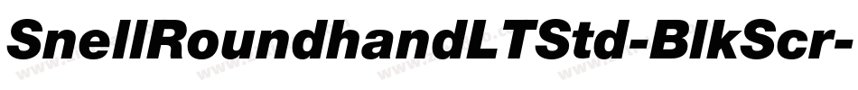 SnellRoundhandLTStd-BlkScr字体转换