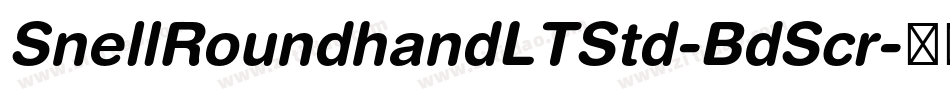 SnellRoundhandLTStd-BdScr字体转换