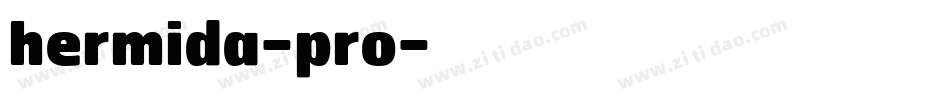 hermida-pro字体转换