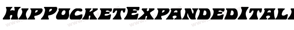 HipPocketExpandedItalic-0e2R字体转换