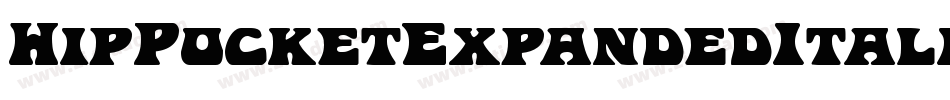 HipPocketExpandedItalic-0e2R字体转换