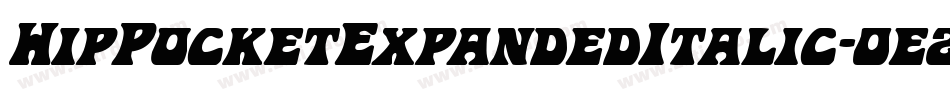 HipPocketExpandedItalic-0e2R字体转换