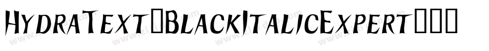 HydraText-BlackItalicExpert字体转换