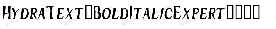 HydraText-BoldItalicExpert字体转换