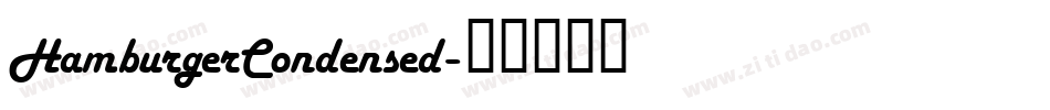 HamburgerCondensed字体转换
