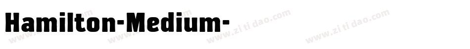 Hamilton-Medium字体转换