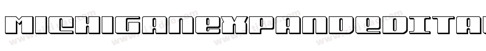 MichiganExpandedItalic-mwVj字体转换