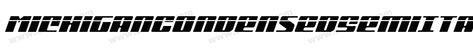 MichiganCondensedSemiItalic-v9dy字体转换