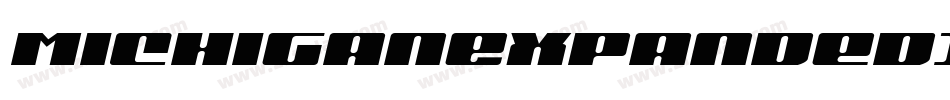 MichiganExpandedItalic-mwVj字体转换