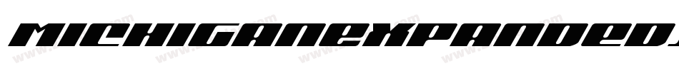 MichiganExpandedItalic-mwVj字体转换