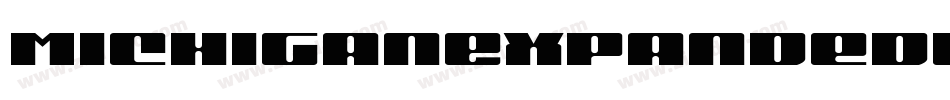 MichiganExpandedLaserItalic-P0o2字体转换