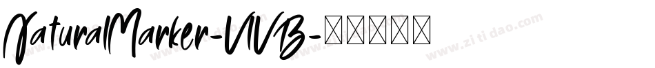 NaturalMarker-VlVB字体转换