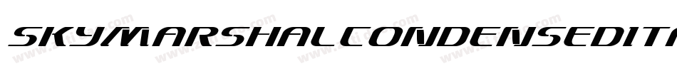 SkyMarshalCondensedItalicCondensedItalic-LgJ5字体转换 SkyMarshalCondensedItalicCondensedItalic-LgJ5字体转换