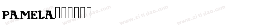 Pamela字体转换