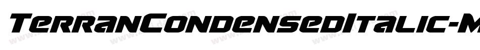 TerranCondensedItalic-MgAp字体转换 TerranCondensedItalic-MgAp字体转换