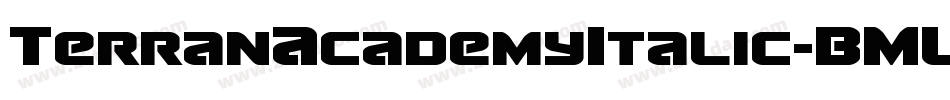 TerranAcademyItalic-BMLB字体转换