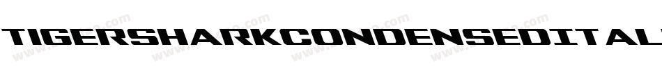 TigersharkCondensedItalic-2oqW字体转换