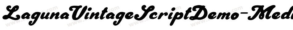 LagunaVintageScriptDemo-Medium字体转换