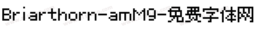 Briarthorn-amM9字体转换
