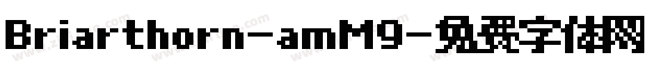 Briarthorn-amM9字体转换
