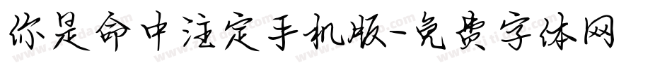 你是命中注定手机版字体转换