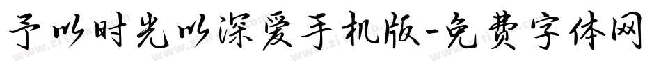 予以时光以深爱手机版字体转换