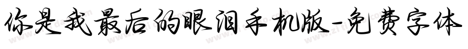 你是我最后的眼泪手机版字体转换