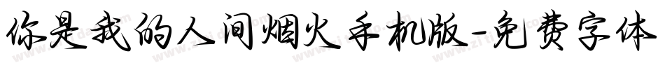 你是我的人间烟火手机版字体转换