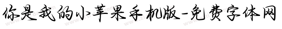 你是我的小苹果手机版字体转换
