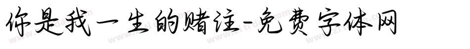你是我一生的赌注字体转换