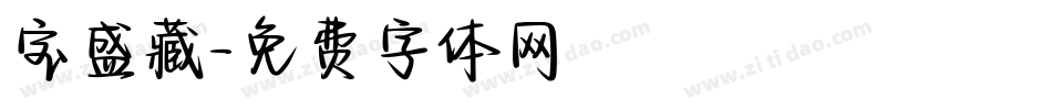 宝盛藏字体转换
