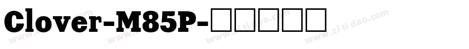 Clover-M85P字体转换