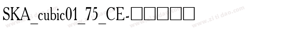 SKA_cubic01_75_CE字体转换
