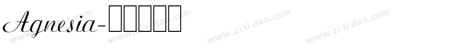 Agnesia字体转换