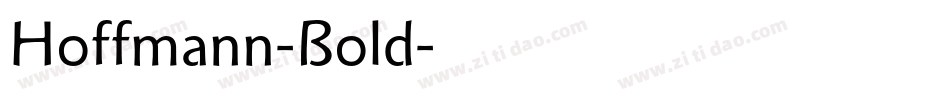 Hoffmann-Bold字体转换