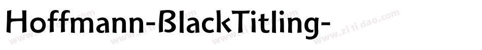 Hoffmann-BlackTitling字体转换