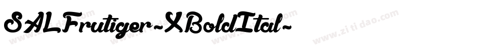 SALFrutiger-XBoldItal字体转换
