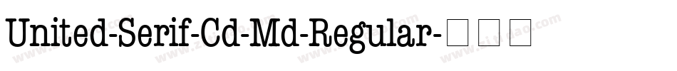 United-Serif-Cd-Md-Regular字体转换